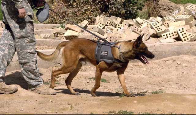 Image 2-2-19 at 10.11 AM